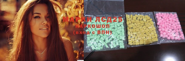 сатива Алзамай