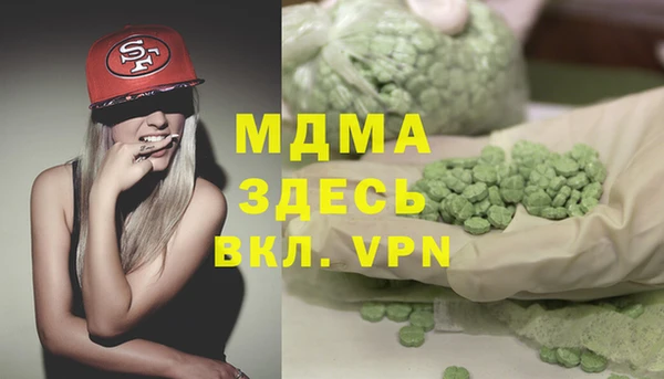 стаф Алексин