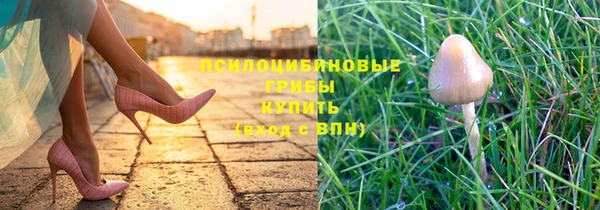 сатива Алзамай