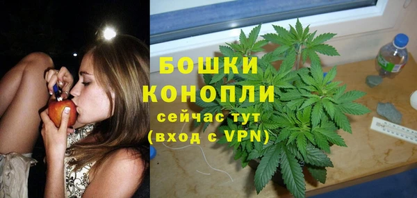 сатива Алзамай