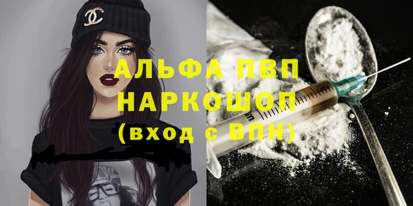 стаф Алексин