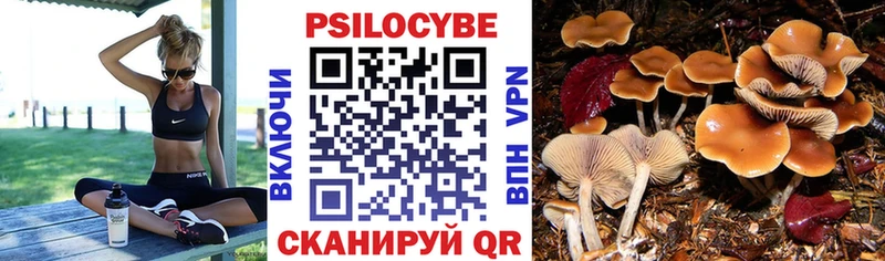 Галлюциногенные грибы прущие грибы  Кудрово 